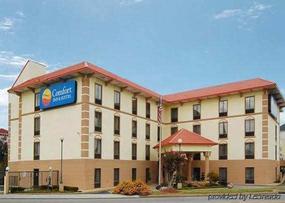 Hotel Comfort & Hamilton Place